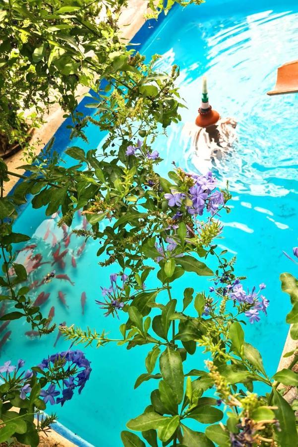 Casa Jazmin Hotel Órgiva Kültér fotó